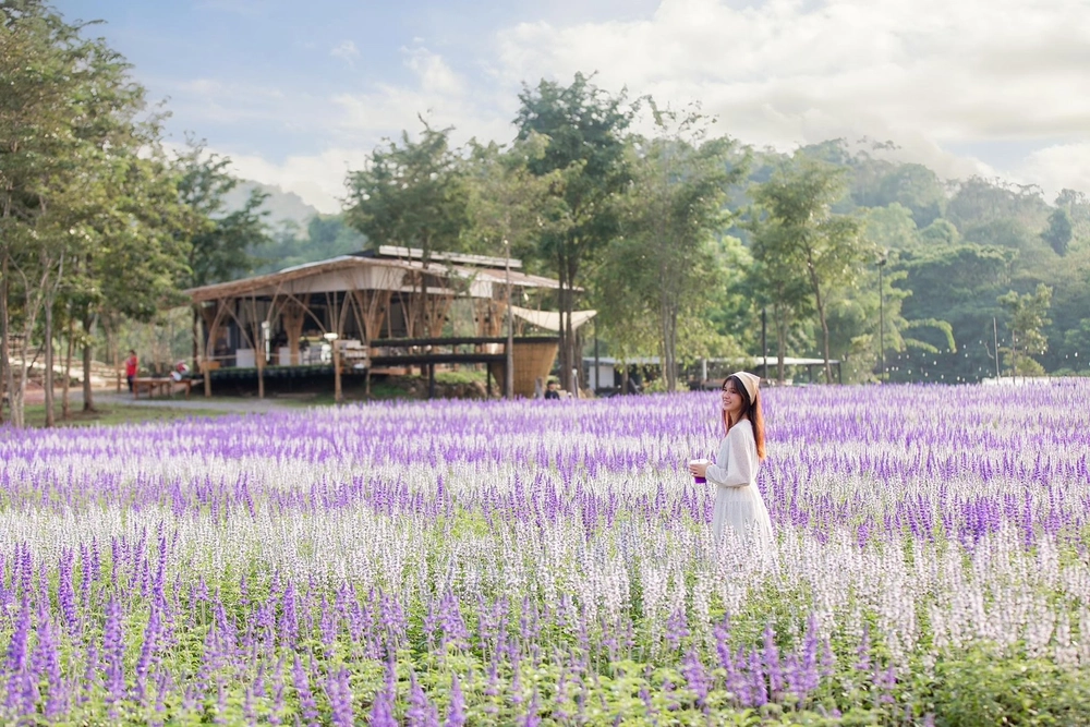 Valata Khaoyai Destinasi Favorit untuk Liburan Tenang dan Menyegarkan di Thailand